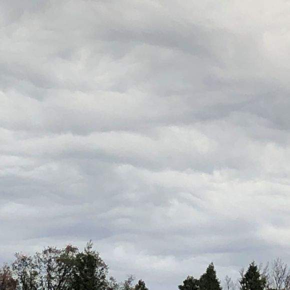 Meet your Posher, Tyler - Picture 1 of 1